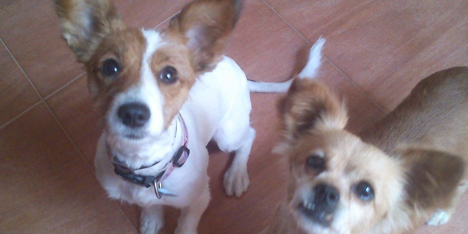vanesa_pr4's profile banner image