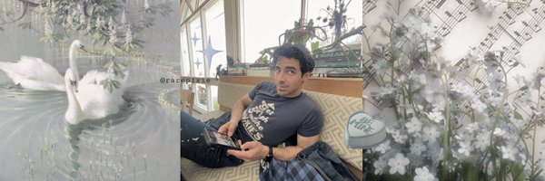 rarepixie Profile Banner