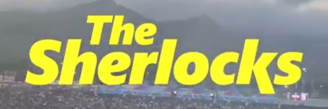 #Sherlocksarmy banner