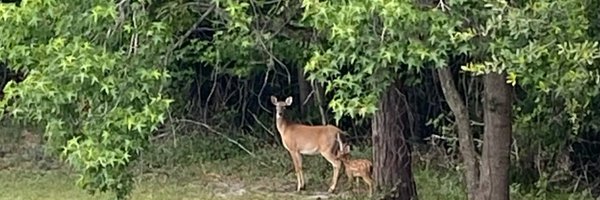 Frances80179674 Profile Banner