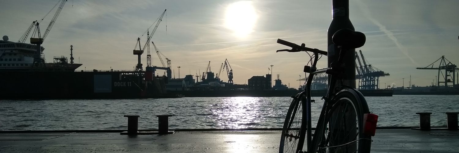 _FellMoon's profile banner image