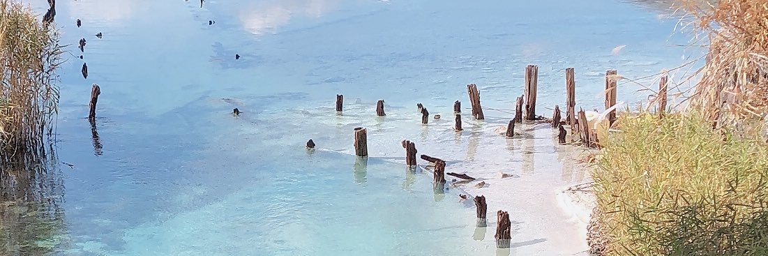 lanxyuu's profile banner image