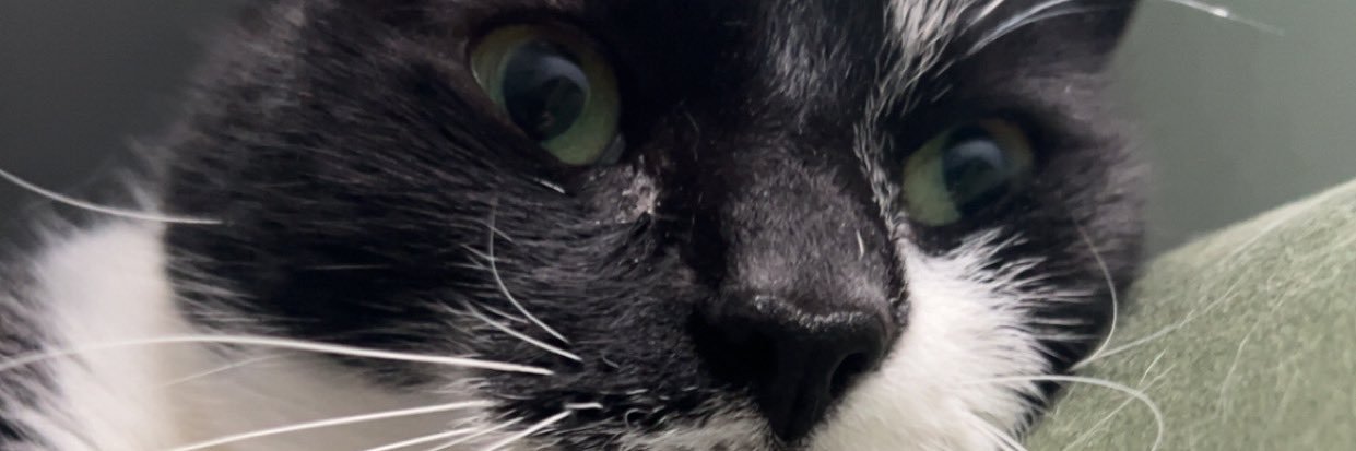 brookestafford_'s profile banner image