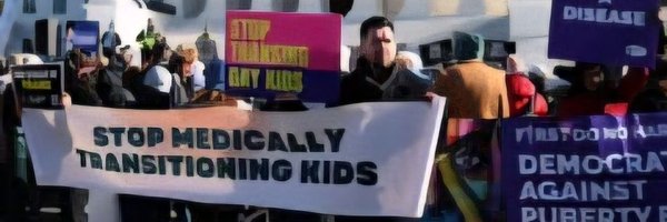 BorisSpider14 Profile Banner