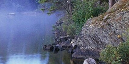 roo72345's profile banner image