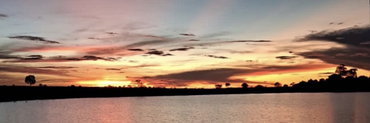. banner