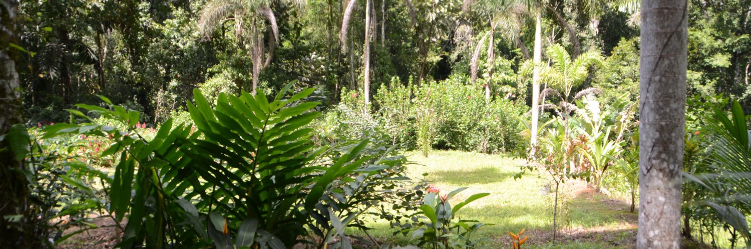 jessduarte's profile banner image