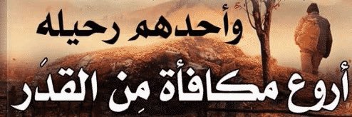 bhbhani82's profile banner image