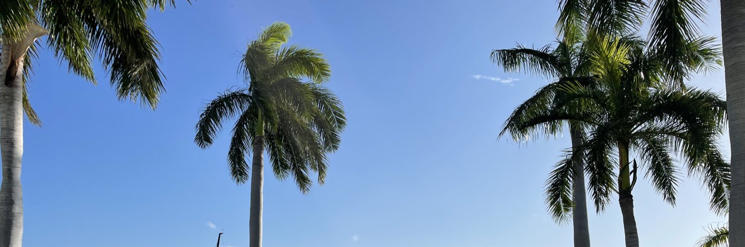 jenbowles's profile banner image