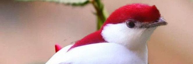 AlbertoLR30's profile banner image