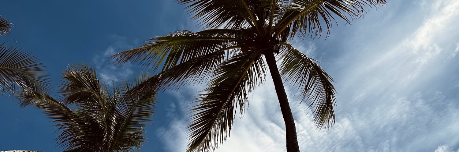 CamiSanchez71's profile banner image