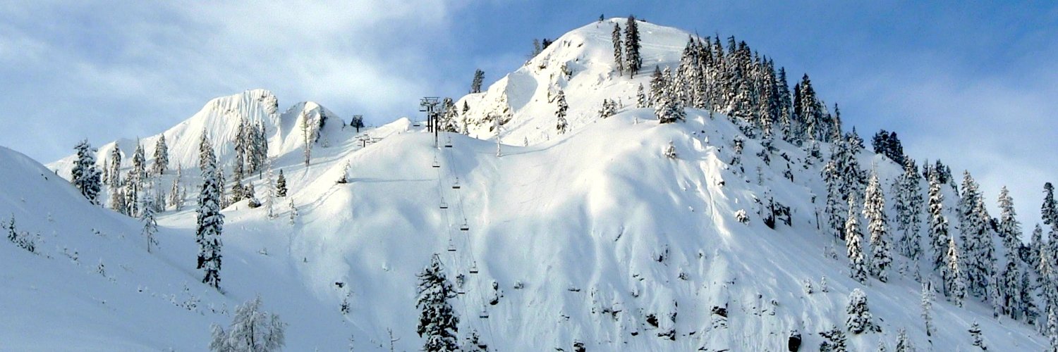 Devin Cintron tryscott.ai banner