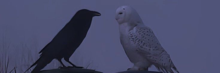 weja777_'s profile banner image