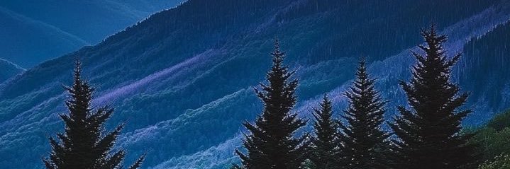 TMSheehanRuns's profile banner image