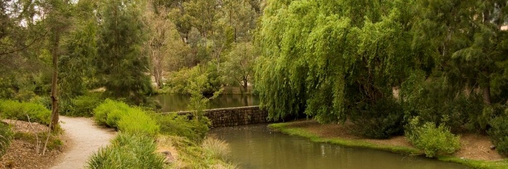 Cochrane CCRG banner