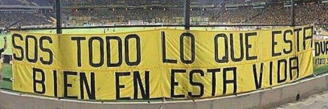 Fernando Cerdá banner