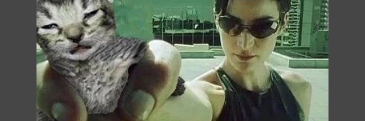 MPH sprint gaming 🐀 banner