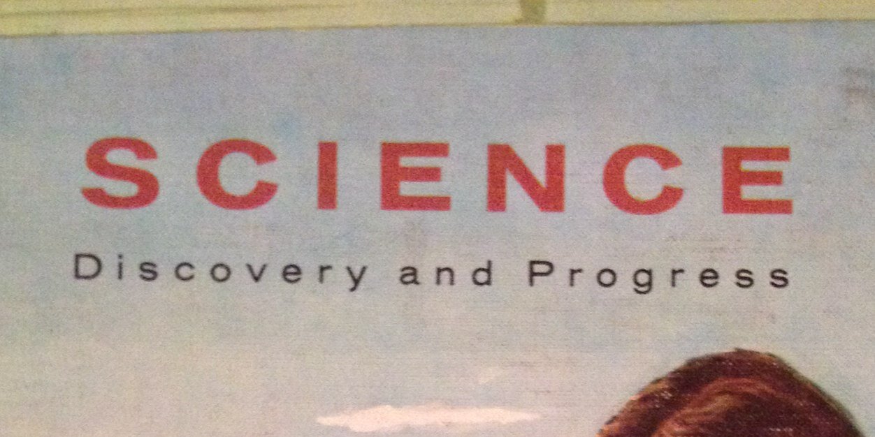 Yonina Hoffman banner