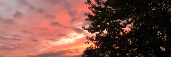 sonalgohil078 Profile Banner