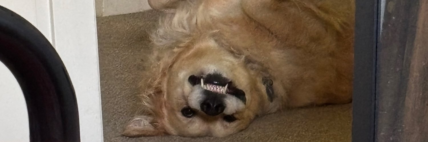 ClaireOfmd's profile banner image