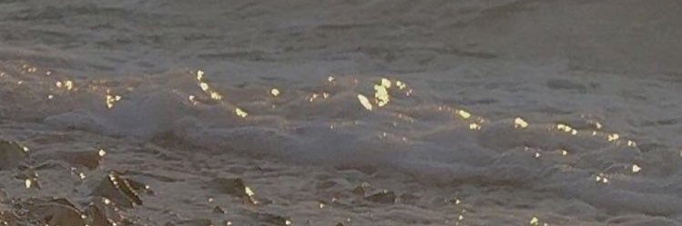 itstshiamo's profile banner image