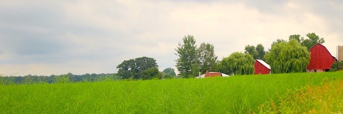 Barn Raiser's banner