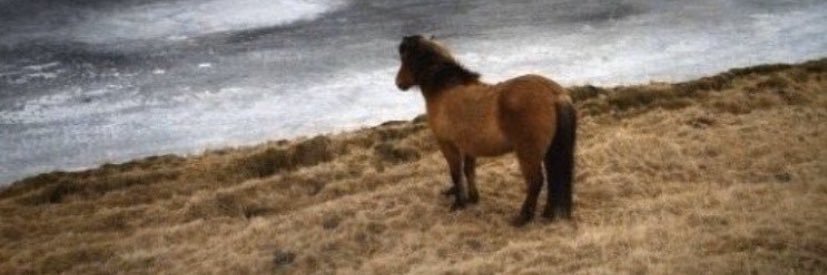 CooperRolison's profile banner image