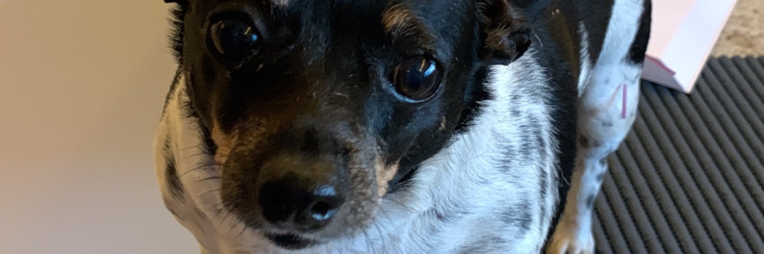 M0Z banner