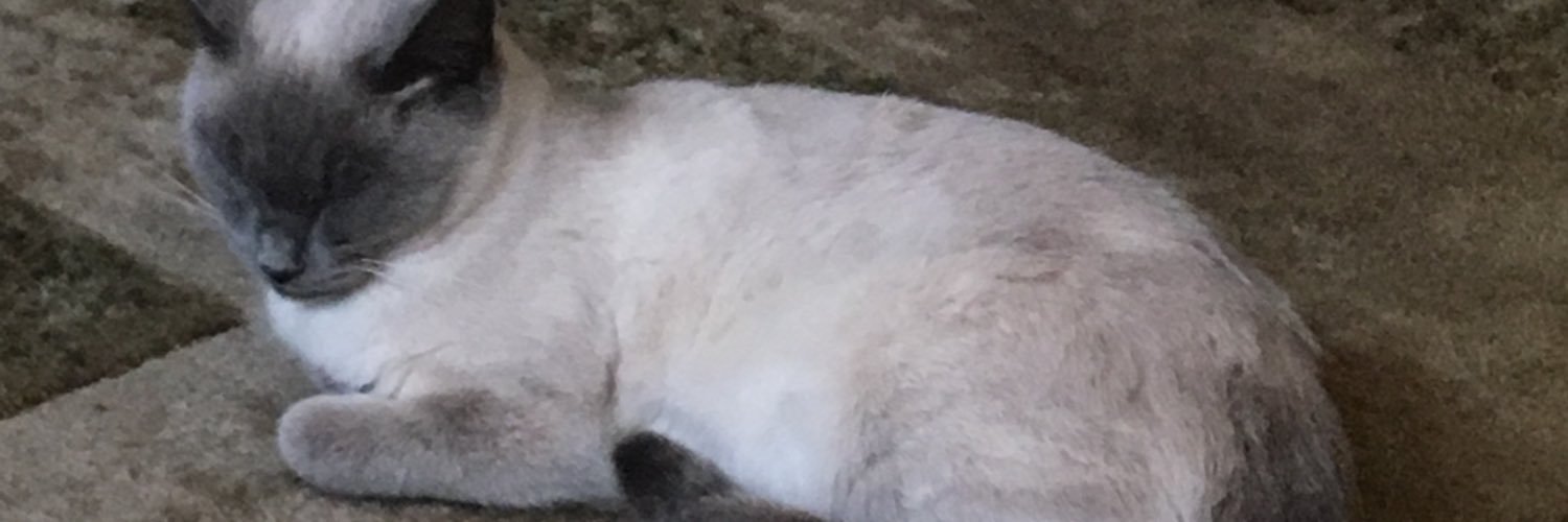 tinamjames's profile banner image