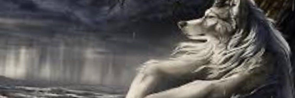 YungSneak banner