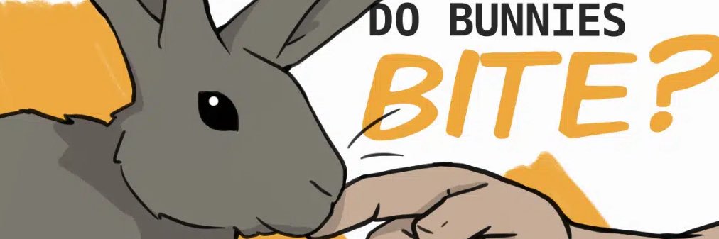 咬人的白兔🐰 Thomas🇬🇧 banner