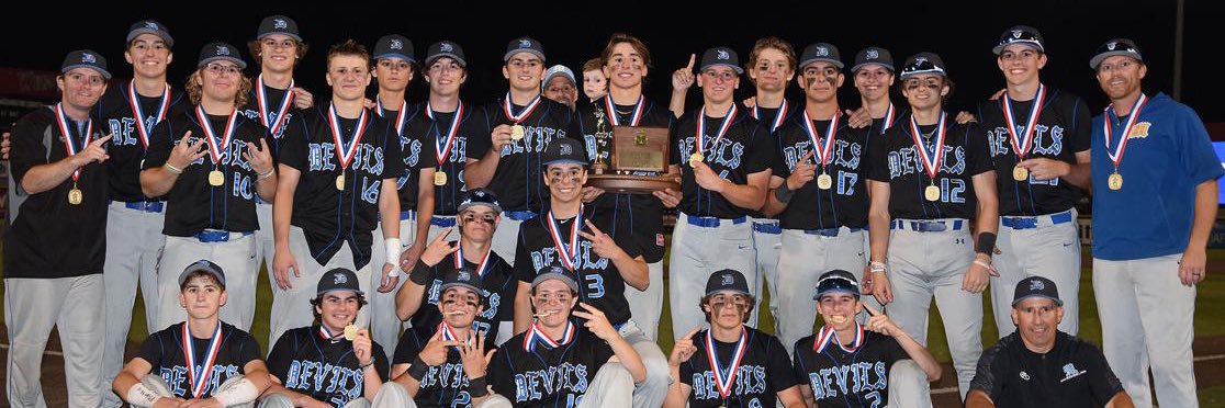 Devils baseball banner