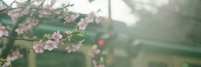 Yasmen_abdallah's profile banner image