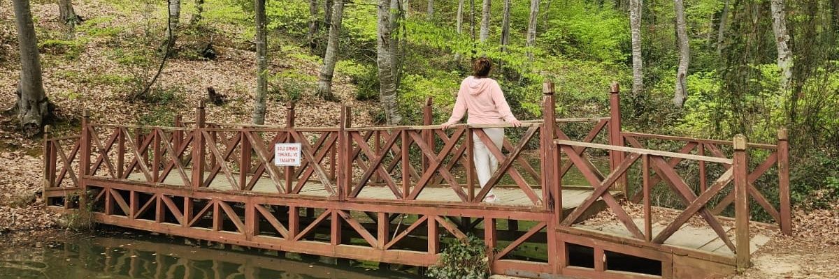 Nuran Wolfschwenger banner