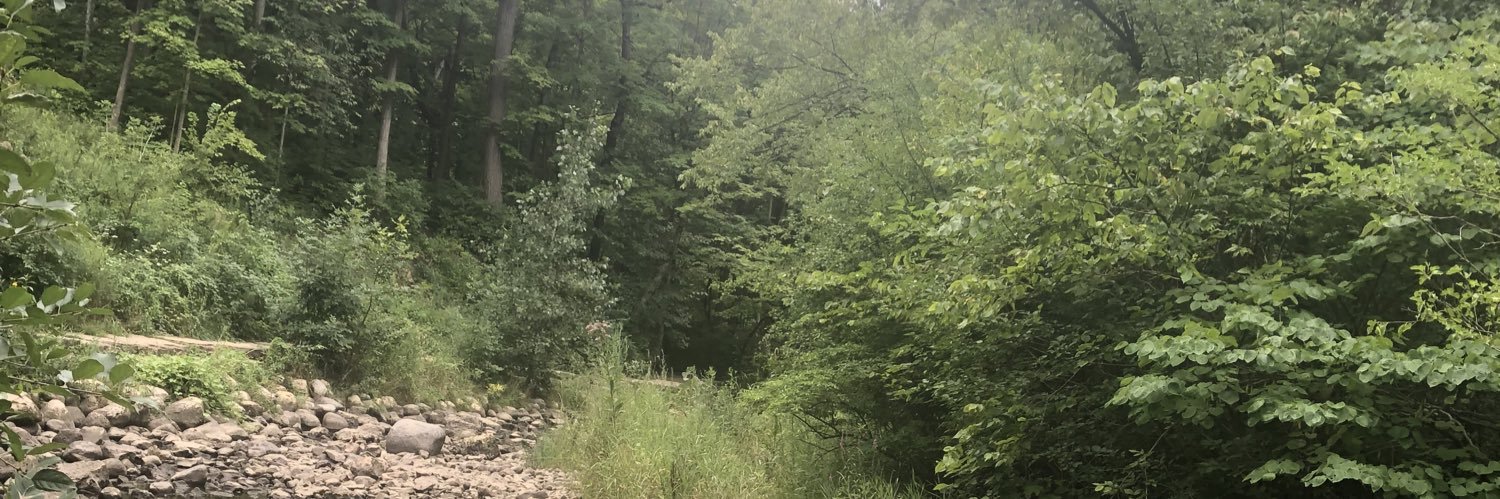 Hailey 🩵RDC8 banner