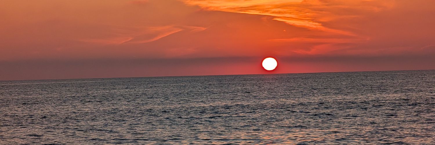xbosch79's profile banner image