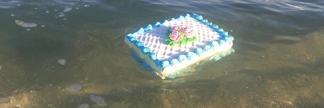 kelpself's profile banner image