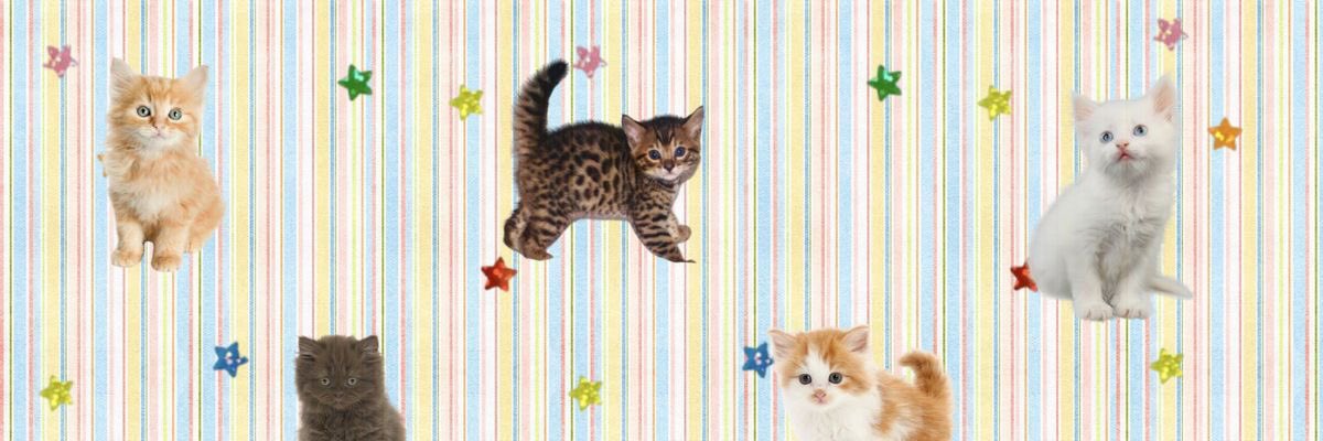 twinkysea's profile banner image