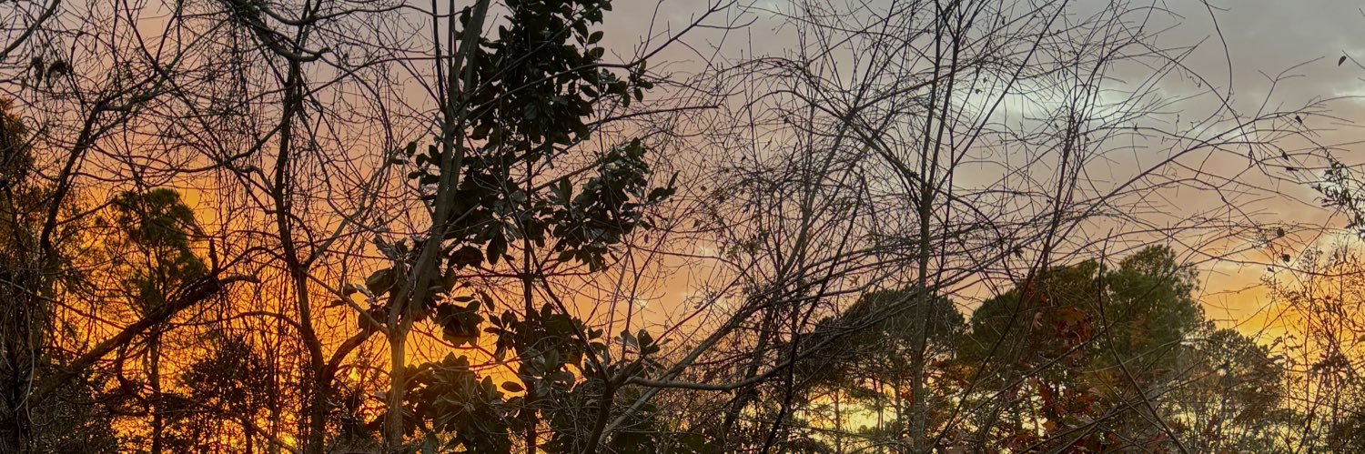 Angstoner's profile banner image
