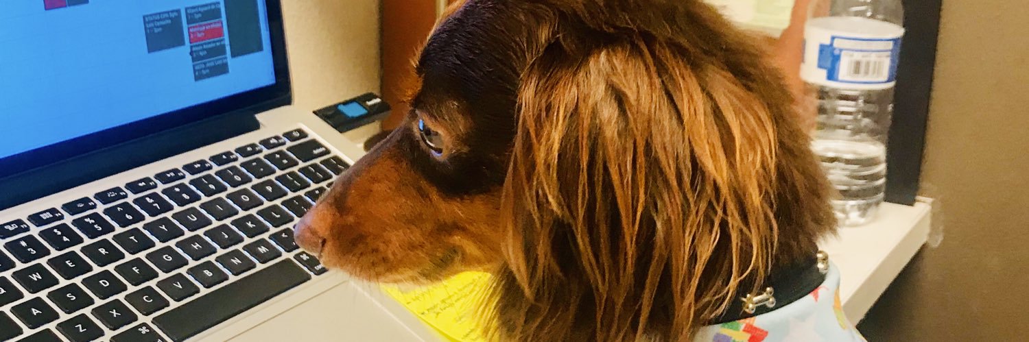 taco_flavored's profile banner image