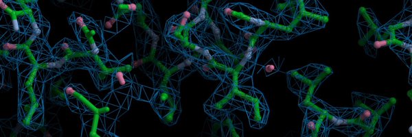 structureltp Profile Banner