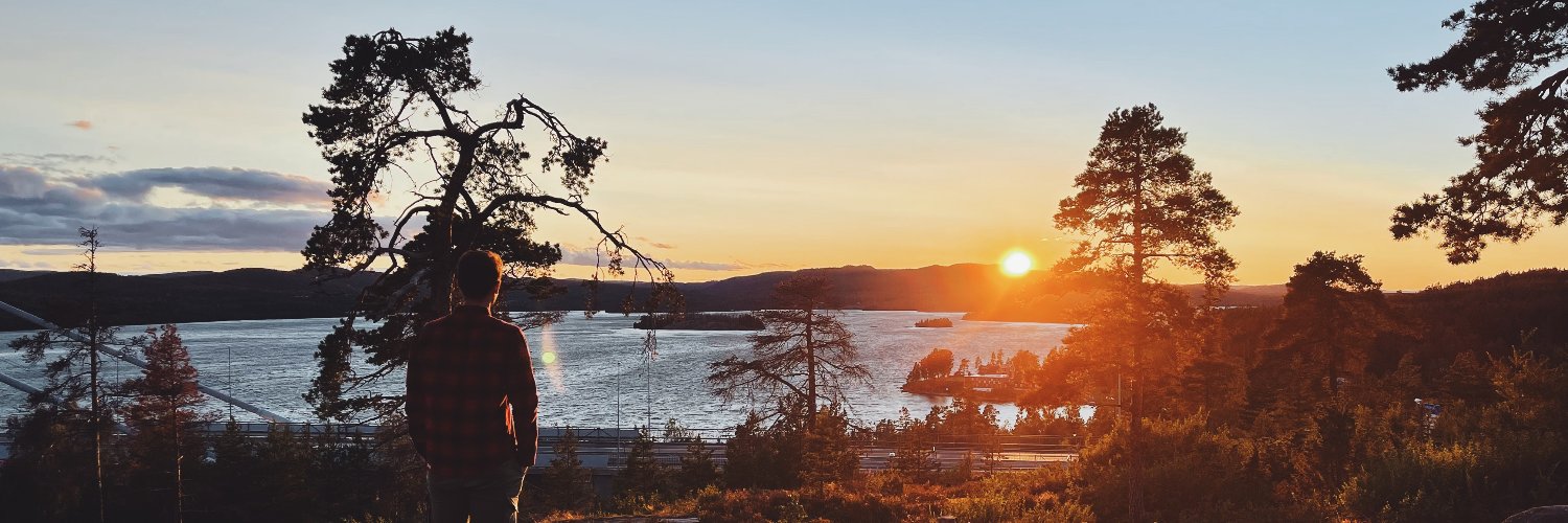 themaxsandelin's profile banner image