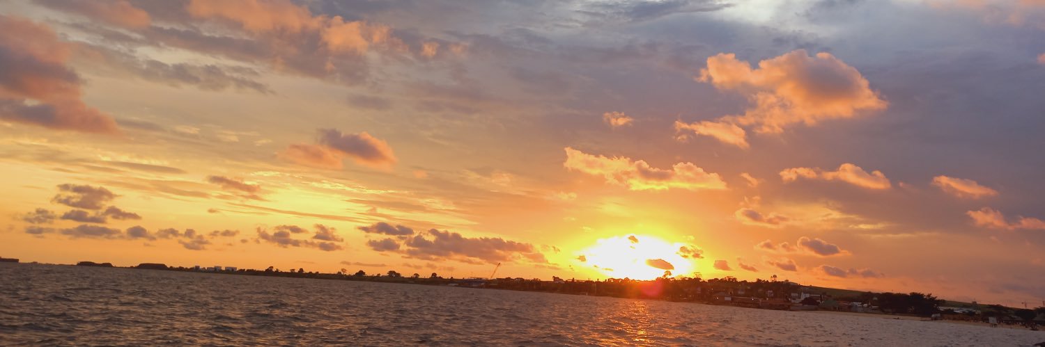 apl_lisaa's profile banner image