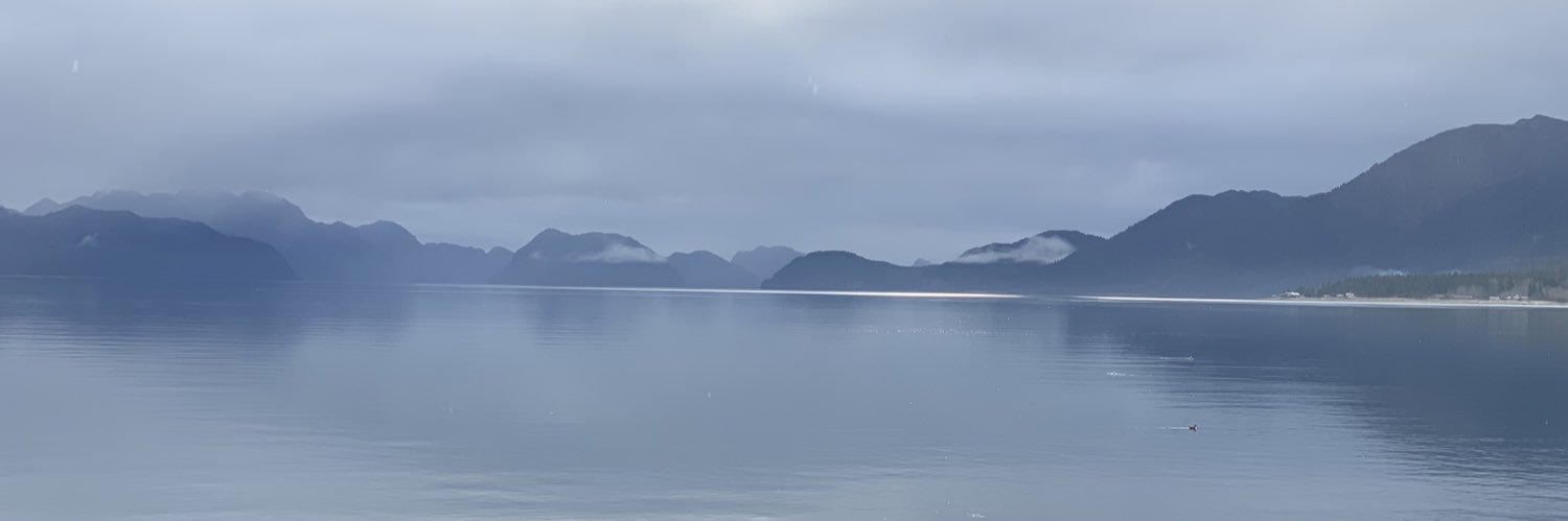 scweeker's profile banner image