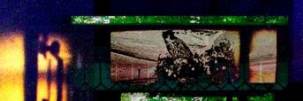 decdes33's profile banner image