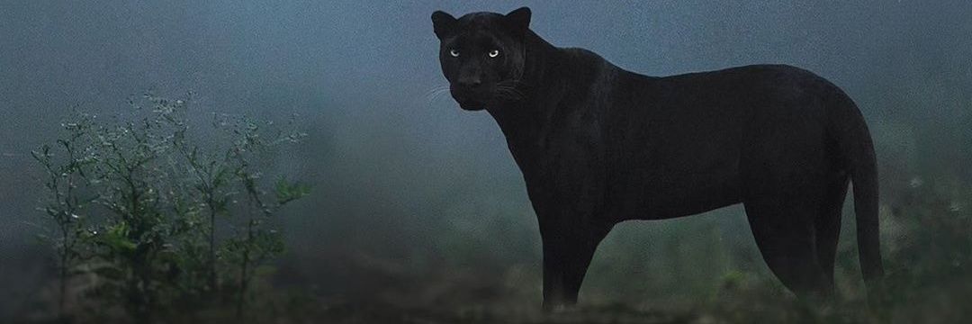 70orSo's profile banner image