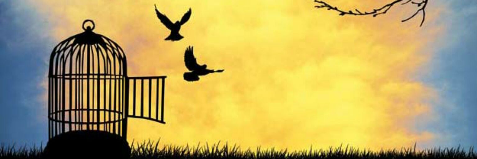 flucease's profile banner image