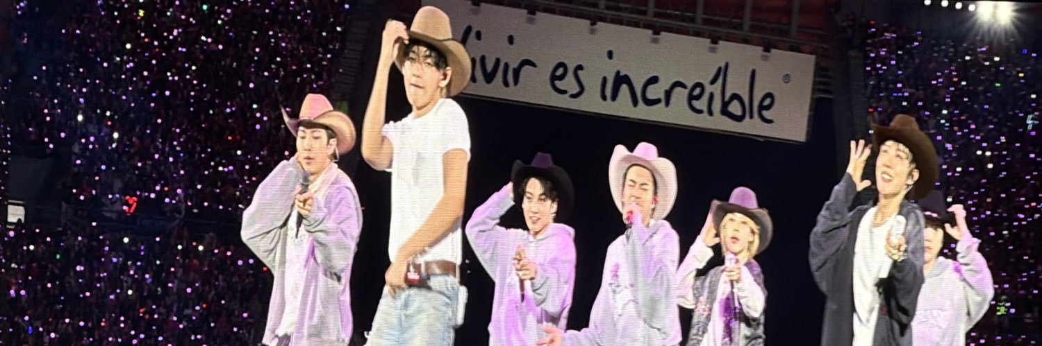 liz | verá a bts en 2027 banner