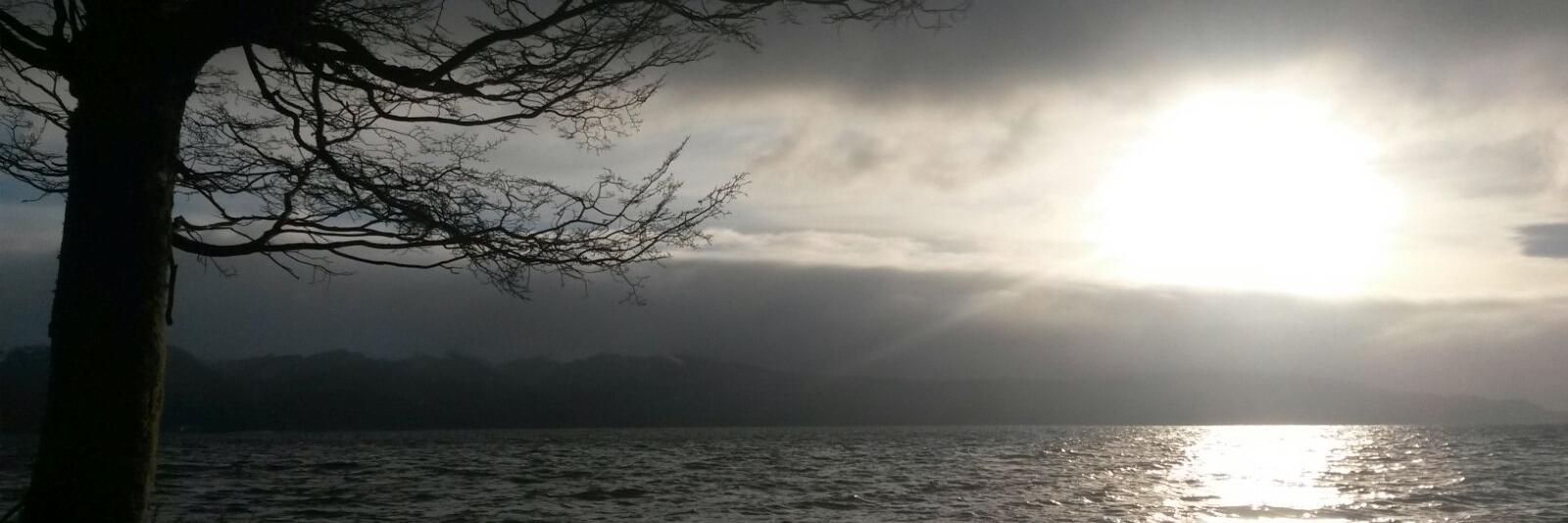 MLuucre's profile banner image