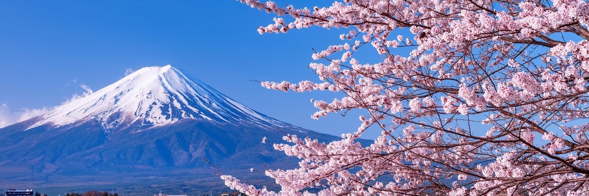 happymappy2027's profile banner image